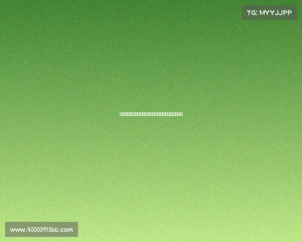 赛事主办方承办方为核心驱动赛事创新发展共创辉煌未来